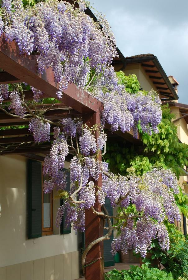 Casa Ai Pini Lägenhet Panzano in Chianti Exteriör bild